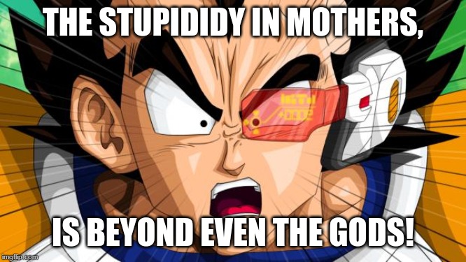 Vegeta | THE STUPIDIDY IN MOTHERS, IS BEYOND EVEN THE GODS! | image tagged in vegeta | made w/ Imgflip meme maker