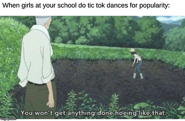 you won't get anything done hoeing like that | When girls at your school do tic tok dances for popularity: | image tagged in you won't get anything done hoeing like that | made w/ Imgflip meme maker