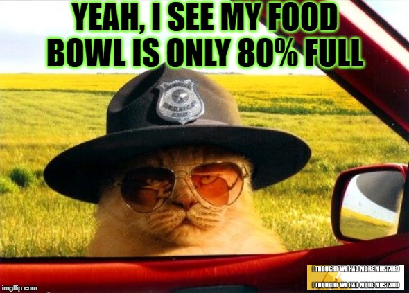 Cat Cop Checking Out Food Bowl 21st Century | YEAH, I SEE MY FOOD BOWL IS ONLY 80% FULL | image tagged in busted by the hypocrite police,cat,cop | made w/ Imgflip meme maker