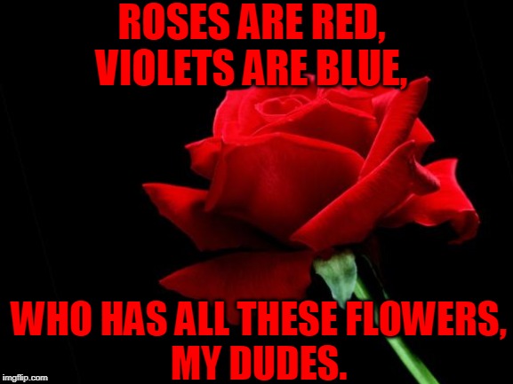 ROSES ARE RED,
VIOLETS ARE BLUE, WHO HAS ALL THESE FLOWERS,
MY DUDES. | made w/ Imgflip meme maker