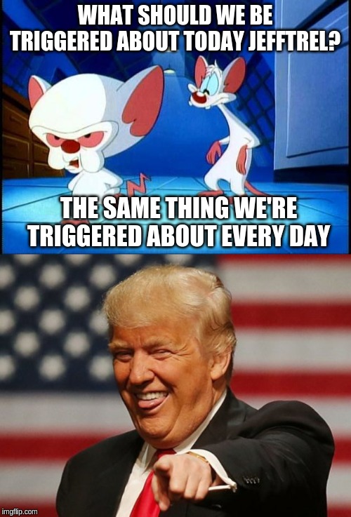 WHAT SHOULD WE BE TRIGGERED ABOUT TODAY JEFFTREL? THE SAME THING WE'RE TRIGGERED ABOUT EVERY DAY | image tagged in pinky and the brain monday,trump birthday | made w/ Imgflip meme maker