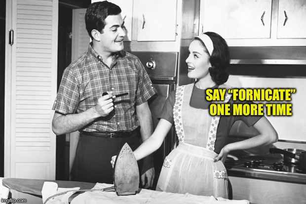 Vintage Husband and Wife | SAY “FORNICATE” ONE MORE TIME | image tagged in vintage husband and wife | made w/ Imgflip meme maker