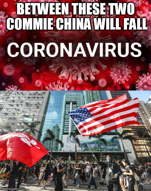 BETWEEN THESE TWO  COMMIE CHINA WILL FALL | image tagged in hong kong,virus | made w/ Imgflip meme maker