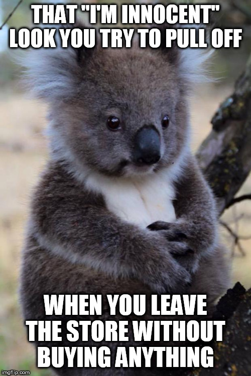 Innocent Koala | THAT "I'M INNOCENT" LOOK YOU TRY TO PULL OFF; WHEN YOU LEAVE THE STORE WITHOUT BUYING ANYTHING | image tagged in innocent koala | made w/ Imgflip meme maker