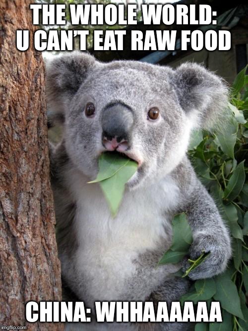 Surprised Koala Meme | THE WHOLE WORLD: U CAN’T EAT RAW FOOD; CHINA: WHHAAAAAA | image tagged in memes,china,surprised koala,funny | made w/ Imgflip meme maker