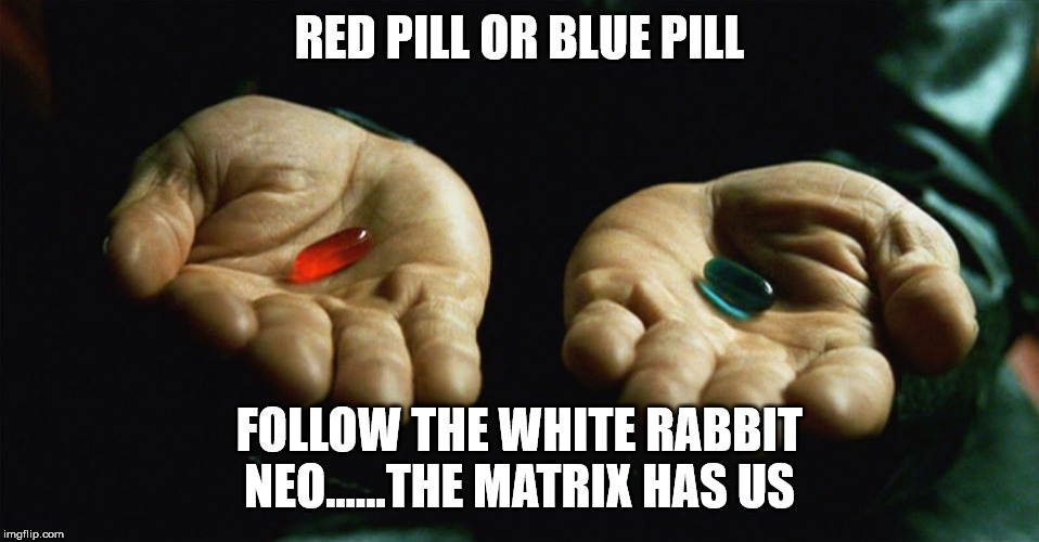 Red pill blue pill | RED PILL OR BLUE PILL FOLLOW THE WHITE RABBIT NEO......THE MATRIX HAS US | image tagged in red pill blue pill | made w/ Imgflip meme maker