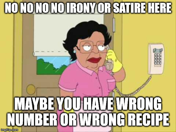 Consuela Meme | NO NO NO NO IRONY OR SATIRE HERE MAYBE YOU HAVE WRONG NUMBER OR WRONG RECIPE | image tagged in memes,consuela | made w/ Imgflip meme maker
