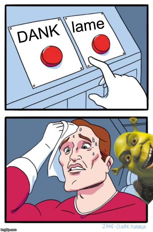 Two Buttons Meme | lame; DANK | image tagged in memes,two buttons | made w/ Imgflip meme maker