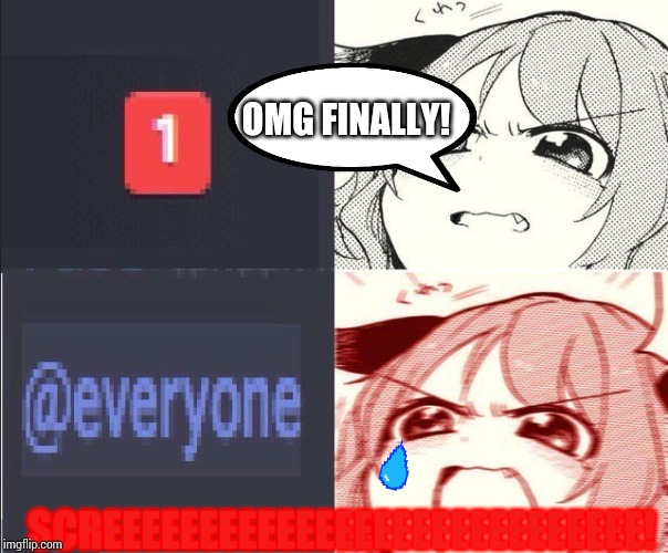 Discord | OMG FINALLY! SCREEEEEEEEEEEEEEEEEEEEEEEEEEEE! | image tagged in discord | made w/ Imgflip meme maker