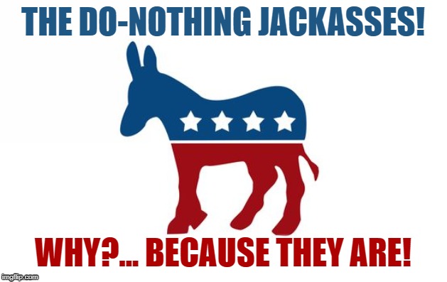 the do nothing jackasses meme | THE DO-NOTHING JACKASSES! WHY?... BECAUSE THEY ARE! | image tagged in politics,free speech,qanon,trump2020,funny,memes | made w/ Imgflip meme maker