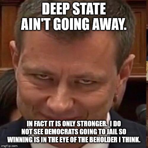 Face of the Deep State | DEEP STATE AIN'T GOING AWAY. IN FACT IT IS ONLY STRONGER.  I DO NOT SEE DEMOCRATS GOING TO JAIL SO WINNING IS IN THE EYE OF THE BEHOLDER I T | image tagged in face of the deep state | made w/ Imgflip meme maker