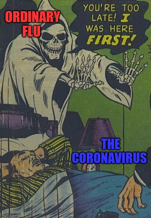 ORDINARY FLU THE CORONAVIRUS | made w/ Imgflip meme maker