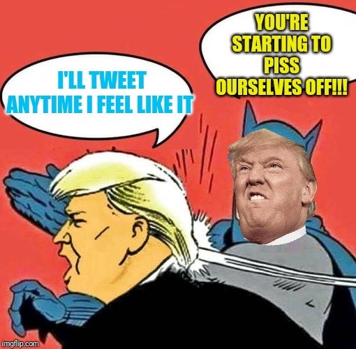 Batman Slapping Trump | YOU'RE STARTING TO PISS OURSELVES OFF!!! I'LL TWEET ANYTIME I FEEL LIKE IT | image tagged in batman slapping trump | made w/ Imgflip meme maker