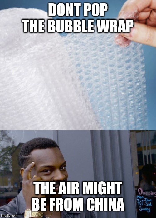 DONT POP THE BUBBLE WRAP; THE AIR MIGHT BE FROM CHINA | image tagged in memes,roll safe think about it | made w/ Imgflip meme maker