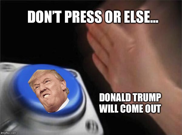 Blank Nut Button | DON’T PRESS OR ELSE... DONALD TRUMP WILL COME OUT | image tagged in memes,blank nut button | made w/ Imgflip meme maker