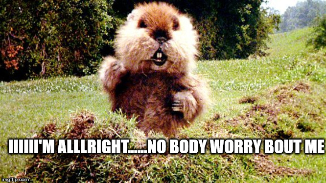 Caddyshack Gopher | IIIIII'M ALLLRIGHT......NO BODY WORRY BOUT ME | image tagged in caddyshack gopher | made w/ Imgflip meme maker
