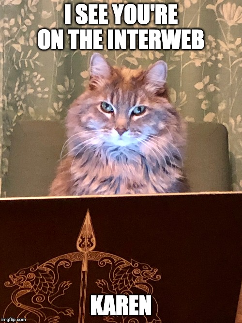 I see you're on the interweb Karen. | I SEE YOU'RE ON THE INTERWEB; KAREN | image tagged in cat,interweb,barf and fart,tomorrow river publishing | made w/ Imgflip meme maker