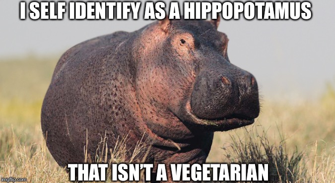 Hippo | I SELF IDENTIFY AS A HIPPOPOTAMUS; THAT ISN’T A VEGETARIAN | image tagged in hippo | made w/ Imgflip meme maker