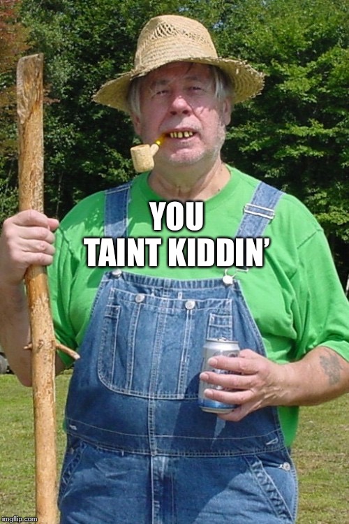 Redneck farmer | YOU TAINT KIDDIN’ | image tagged in redneck farmer | made w/ Imgflip meme maker