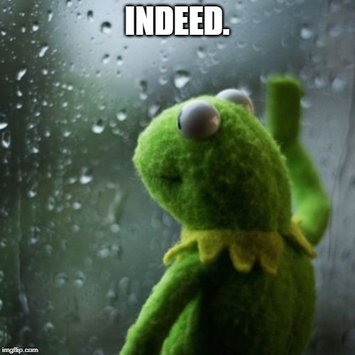 sometimes I wonder  | INDEED. | image tagged in sometimes i wonder | made w/ Imgflip meme maker