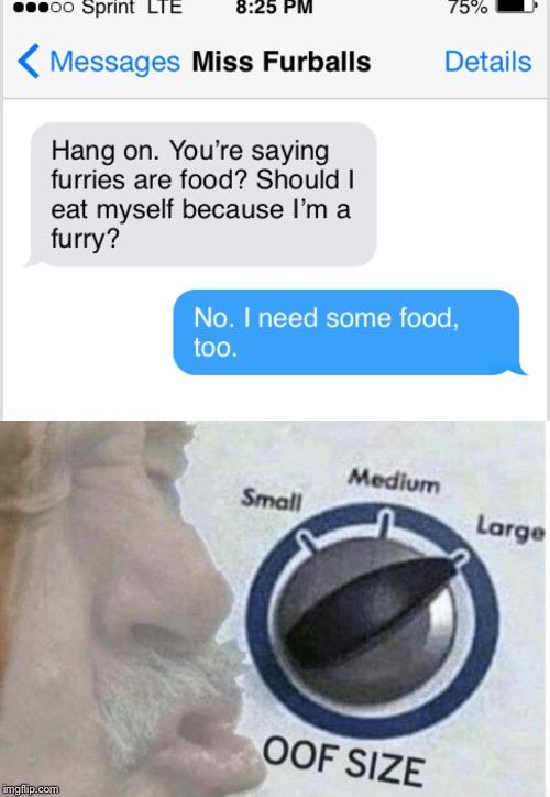 Based on a true story | image tagged in oof size large,anti furry,funny,memes,imgflip,texting | made w/ Imgflip meme maker