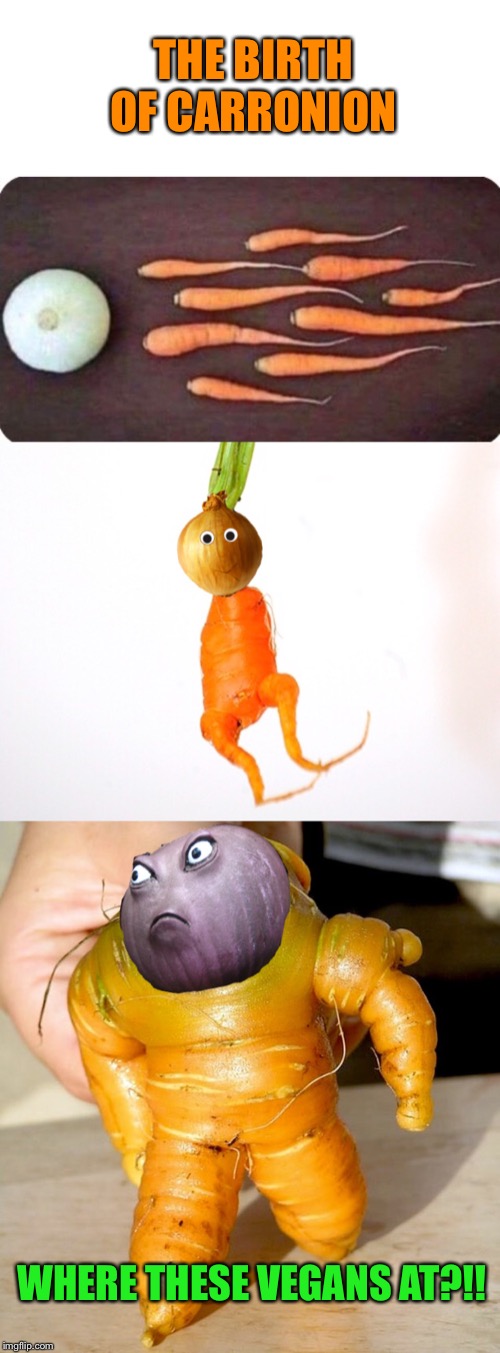 When Carrot met Onion | THE BIRTH OF CARRONION; WHERE THESE VEGANS AT?!! | image tagged in carrots,onions,vegans,beware,funny,original meme | made w/ Imgflip meme maker