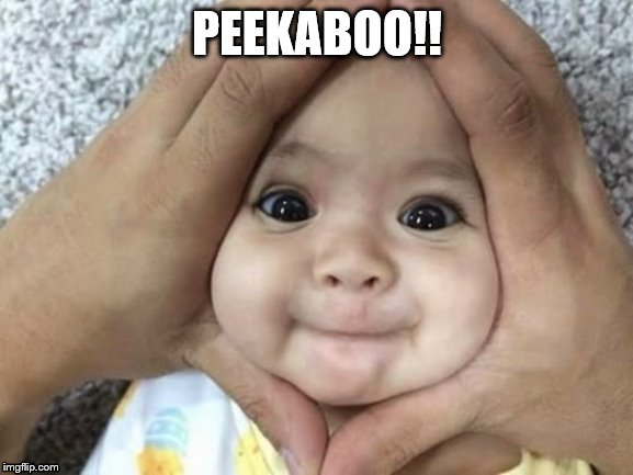 PEEKABOO!! | image tagged in peekaboo | made w/ Imgflip meme maker