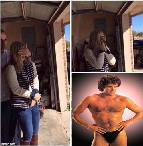 The Hoff | image tagged in surprise gift | made w/ Imgflip meme maker