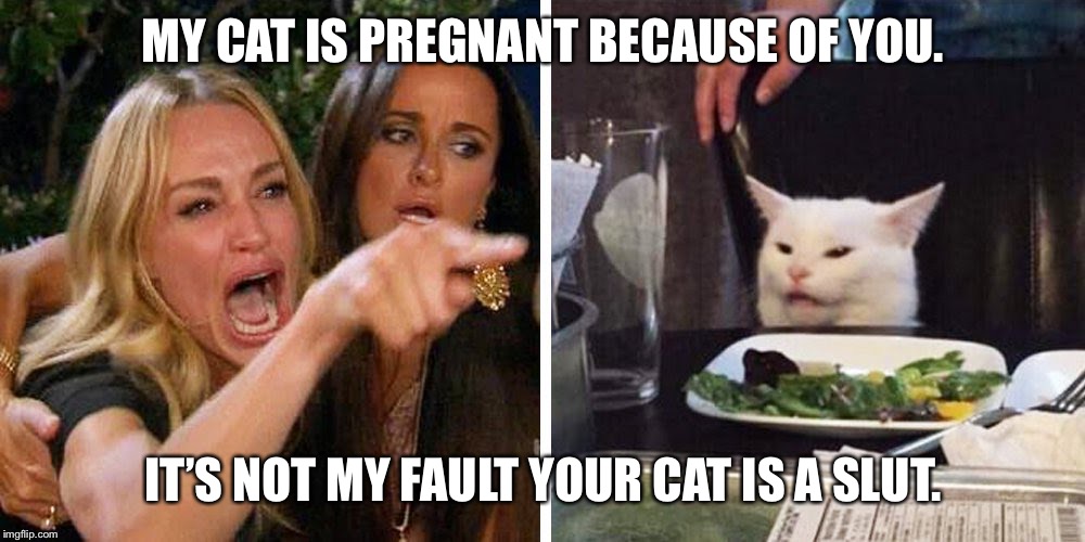Smudge the cat | MY CAT IS PREGNANT BECAUSE OF YOU. IT’S NOT MY FAULT YOUR CAT IS A SLUT. | image tagged in smudge the cat | made w/ Imgflip meme maker