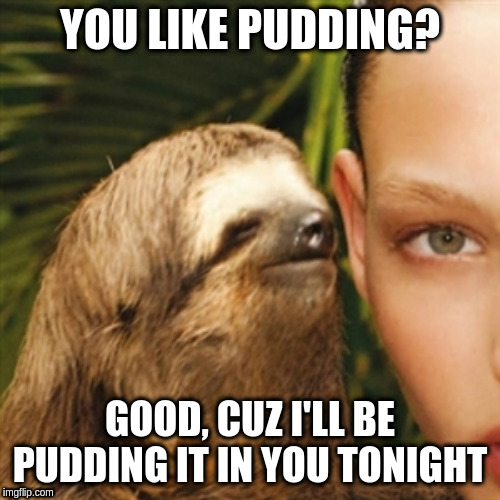 Whisper Sloth Meme | YOU LIKE PUDDING? GOOD, CUZ I'LL BE PUDDING IT IN YOU TONIGHT | image tagged in memes,whisper sloth | made w/ Imgflip meme maker