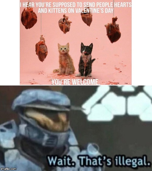 Wait. That’s Illegal. | image tagged in wait thats illegal | made w/ Imgflip meme maker