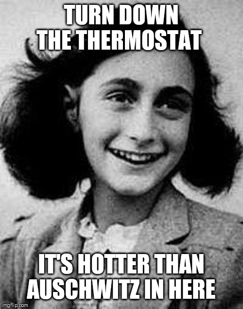 Anne Frank | TURN DOWN THE THERMOSTAT; IT'S HOTTER THAN AUSCHWITZ IN HERE | image tagged in anne frank | made w/ Imgflip meme maker