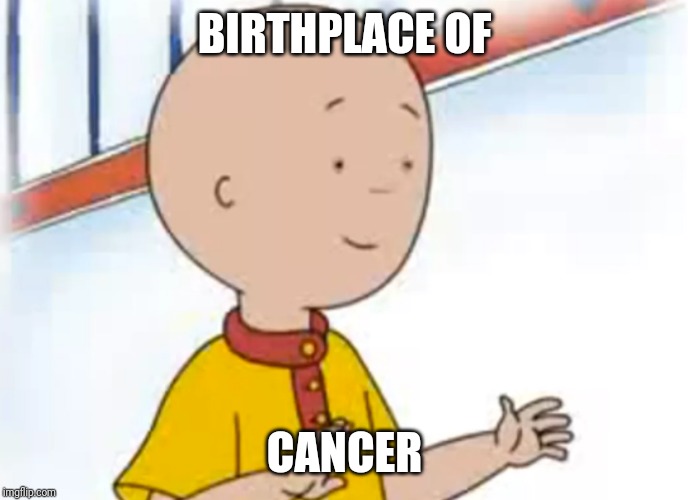 Birth of cancer | BIRTHPLACE OF; CANCER | image tagged in caillou | made w/ Imgflip meme maker