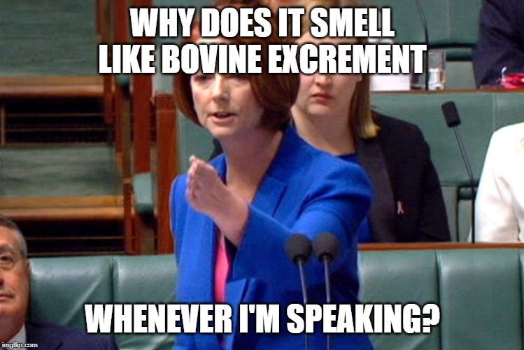It's because you lied about introducing a carbon tax and stuff | WHY DOES IT SMELL LIKE BOVINE EXCREMENT; WHENEVER I'M SPEAKING? | image tagged in julia gillard speech,liberal hypocrisy,rubbish,hypocrite,hypocritical feminist,politics | made w/ Imgflip meme maker
