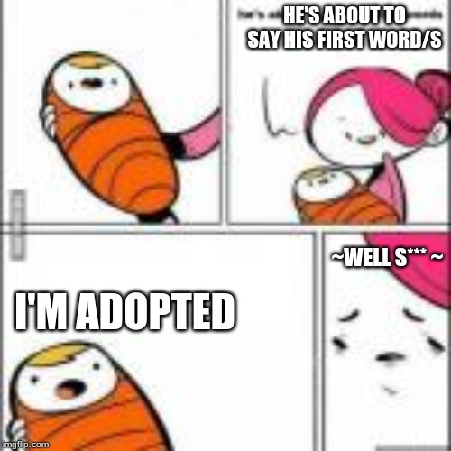 when your baby knows he's adopted. | HE'S ABOUT TO SAY HIS FIRST WORD/S; I'M ADOPTED; ~WELL S*** ~ | image tagged in baby first words | made w/ Imgflip meme maker