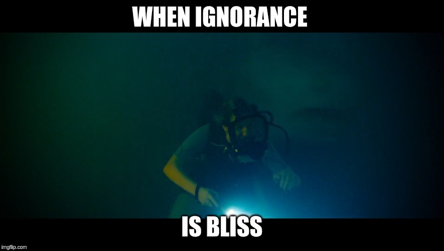 Ignorance is Bliss | WHEN IGNORANCE; IS BLISS | image tagged in 47 meters down uncaged,great white shark,horror,ignorance | made w/ Imgflip meme maker