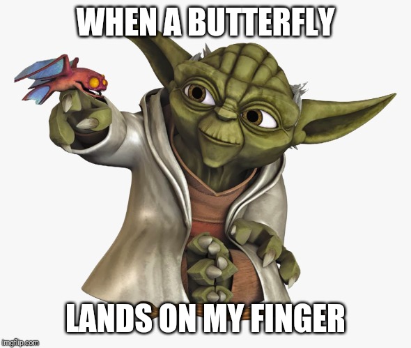 When a butterfly lands on my finger | WHEN A BUTTERFLY; LANDS ON MY FINGER | image tagged in yoda | made w/ Imgflip meme maker