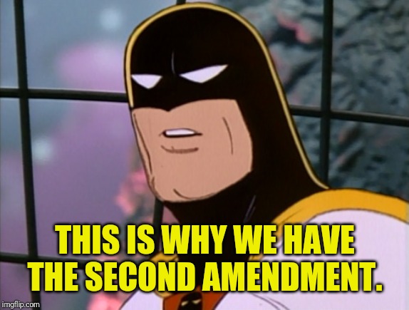 THIS IS WHY WE HAVE THE SECOND AMENDMENT. | made w/ Imgflip meme maker