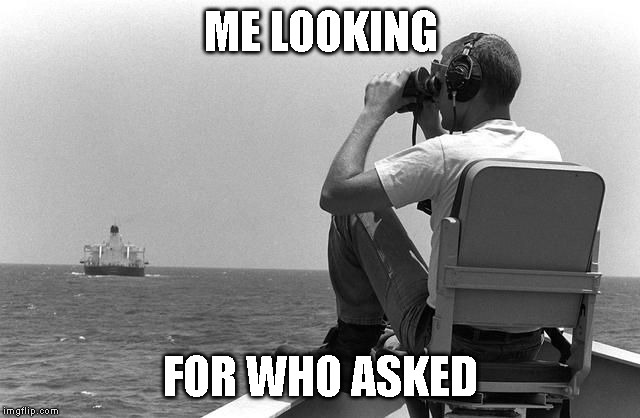 Where are you | ME LOOKING; FOR WHO ASKED | image tagged in where are you | made w/ Imgflip meme maker