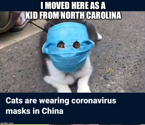 I knew my rhymes was dope | I MOVED HERE AS A KID FROM NORTH CAROLINA | image tagged in coronavirus,cats | made w/ Imgflip meme maker