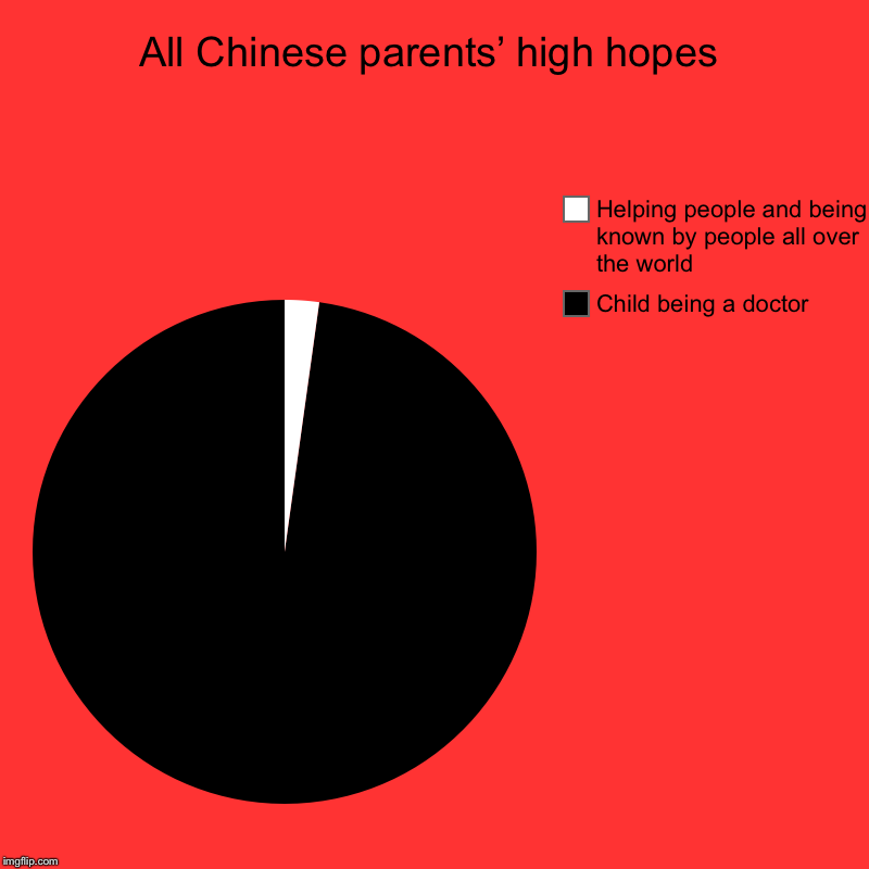 All Chinese parents’ high hopes | Child being a doctor, Helping people and being known by people all over the world | image tagged in charts,pie charts | made w/ Imgflip chart maker