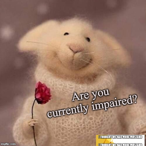 Currently Impaired? | Are you currently impaired? | image tagged in impaired,drunk,stoned,high,mouse,mice | made w/ Imgflip meme maker