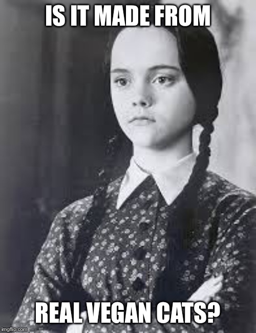 Wednesday Addams | IS IT MADE FROM REAL VEGAN CATS? | image tagged in wednesday addams | made w/ Imgflip meme maker