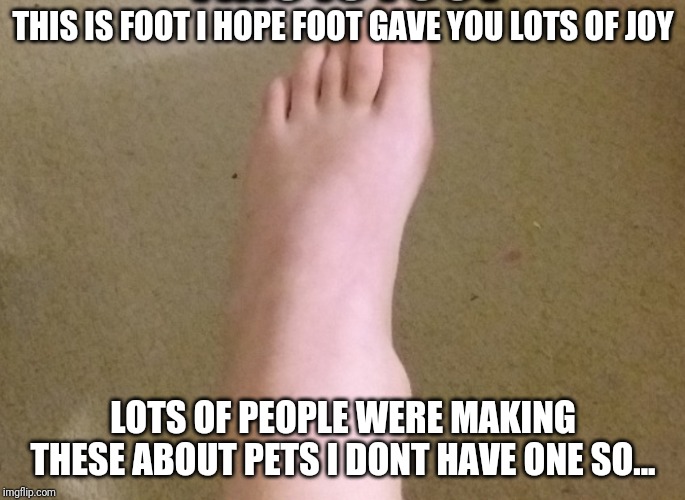 Every one is doing it and geting so many upvotes so I will to | THIS IS FOOT I HOPE FOOT GAVE YOU LOTS OF JOY; LOTS OF PEOPLE WERE MAKING THESE ABOUT PETS I DONT HAVE ONE SO... | image tagged in foot | made w/ Imgflip meme maker