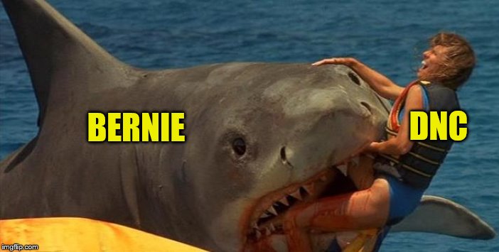 Jaws Meme | DNC; BERNIE | image tagged in jaws meme | made w/ Imgflip meme maker