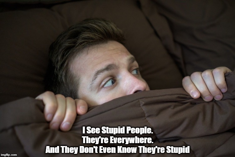 "I See Stupid People Everywhere" | I See Stupid People.
They're Everywhere.
And They Don't Even Know They're Stupid | image tagged in dunning kruger hypothesis,stupidity,half the people in any population have double digit iq,dimwits for donald,twits for trump,tr | made w/ Imgflip meme maker