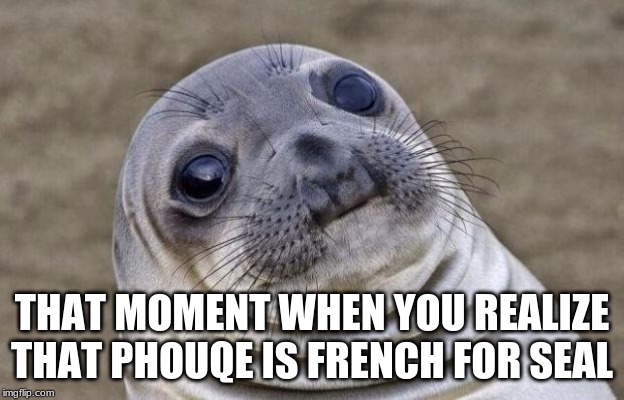 Awkward Moment Sealion Meme | THAT MOMENT WHEN YOU REALIZE THAT PHOUQE IS FRENCH FOR SEAL | image tagged in memes,awkward moment sealion | made w/ Imgflip meme maker