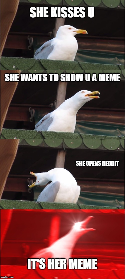 Inhaling Seagull | SHE KISSES U; SHE WANTS TO SHOW U A MEME; SHE OPENS REDDIT; IT'S HER MEME | image tagged in memes,inhaling seagull | made w/ Imgflip meme maker