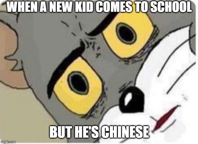 Tom and Jerry meme | WHEN A NEW KID COMES TO SCHOOL; BUT HE'S CHINESE | image tagged in tom and jerry meme | made w/ Imgflip meme maker