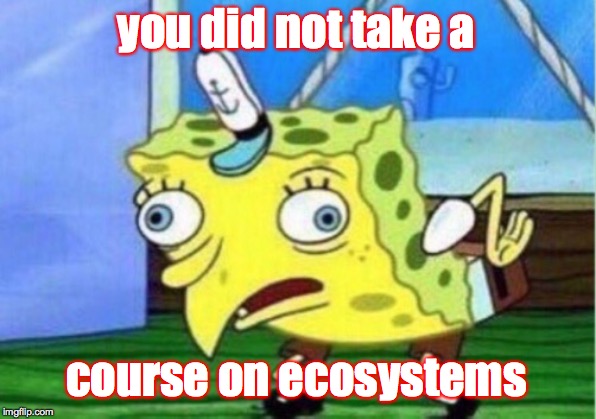 Mocking Spongebob Meme | you did not take a course on ecosystems | image tagged in memes,mocking spongebob | made w/ Imgflip meme maker